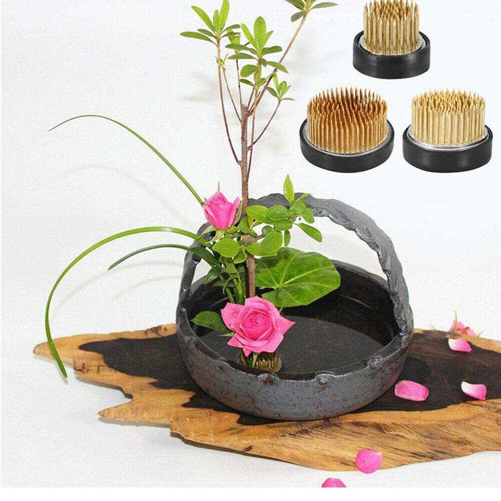 Flower Frog Pin - Rana fiore Ikebana rotonda con guarnizione