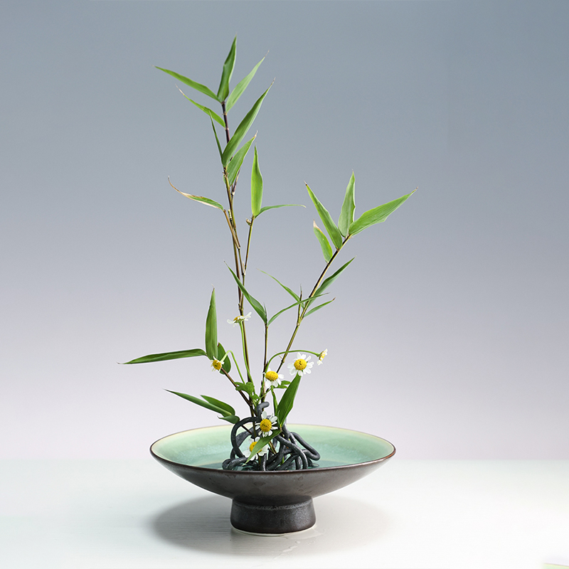 Supporto base per vaso di fior - Flower Frog Pin recensione e prezzo