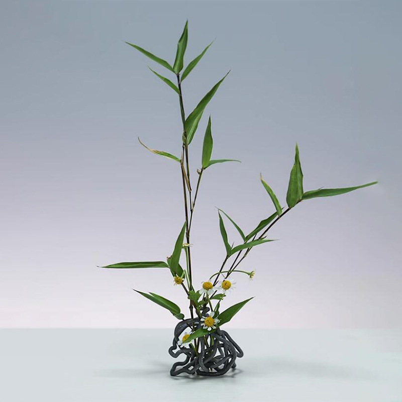 Supporto base per vaso di fior - Flower Frog Pin recensione e prezzo
