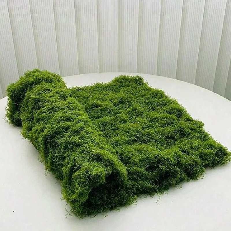Muschio artificiale per decora - Preserved Moss Sheet recensione e prezzo